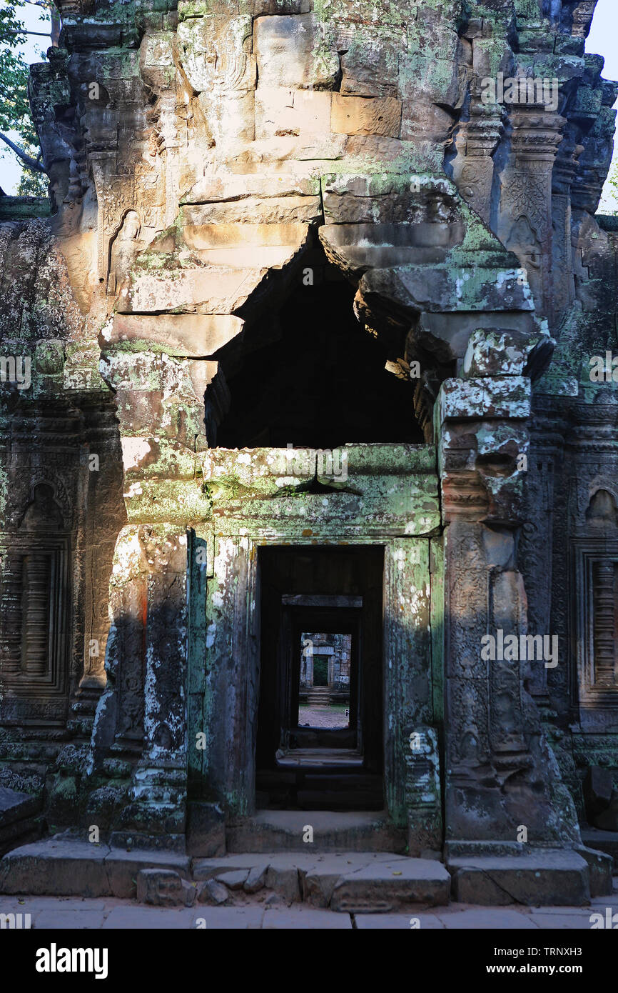 Couloir au centre de l'axe est-ouest du Ta Prohm temple, Angkor, Siem Reap, Cambodge Banque D'Images