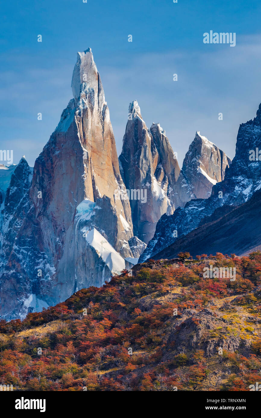 Cerro Torre et la couleur de l'automne dans la forêt de lenga en Parque Nacional Los Glaciares, en Patagonie, Argentine. Banque D'Images