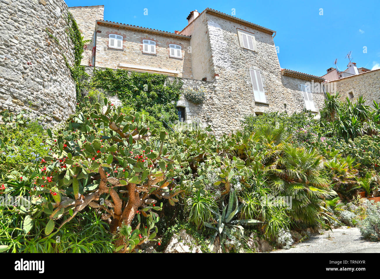 Antibes, Alpes-Maritimes, France - 16 juin 2014 : des rues pittoresques de la vieille ville Banque D'Images