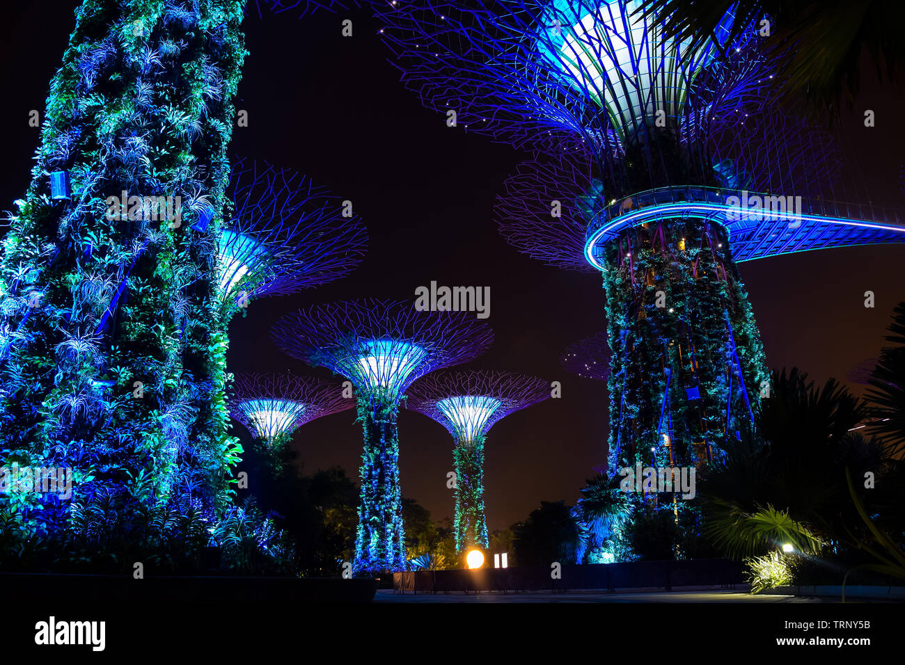 La nuit dans les jardins de la baie à côté de Marina Bay, à Singapour, au sud-est de l'Asie Banque D'Images