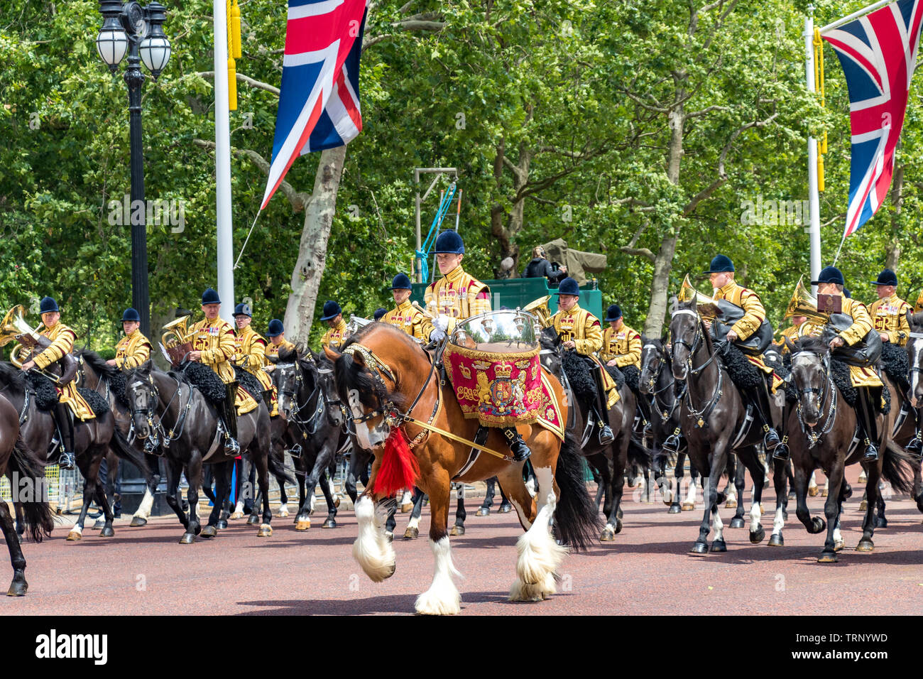 Un cheval à tambour avec la bande montée de la cavalerie de la maison sur le Mall à la Trooping The Color Ceremony , Londres, Royaume-Uni, 2019 Banque D'Images
