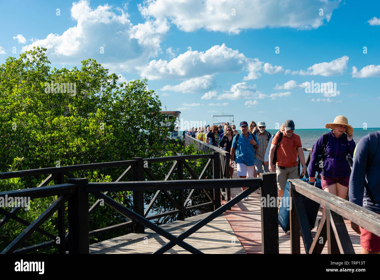 Cayo levisa ferry Banque de photographies et d’images à haute