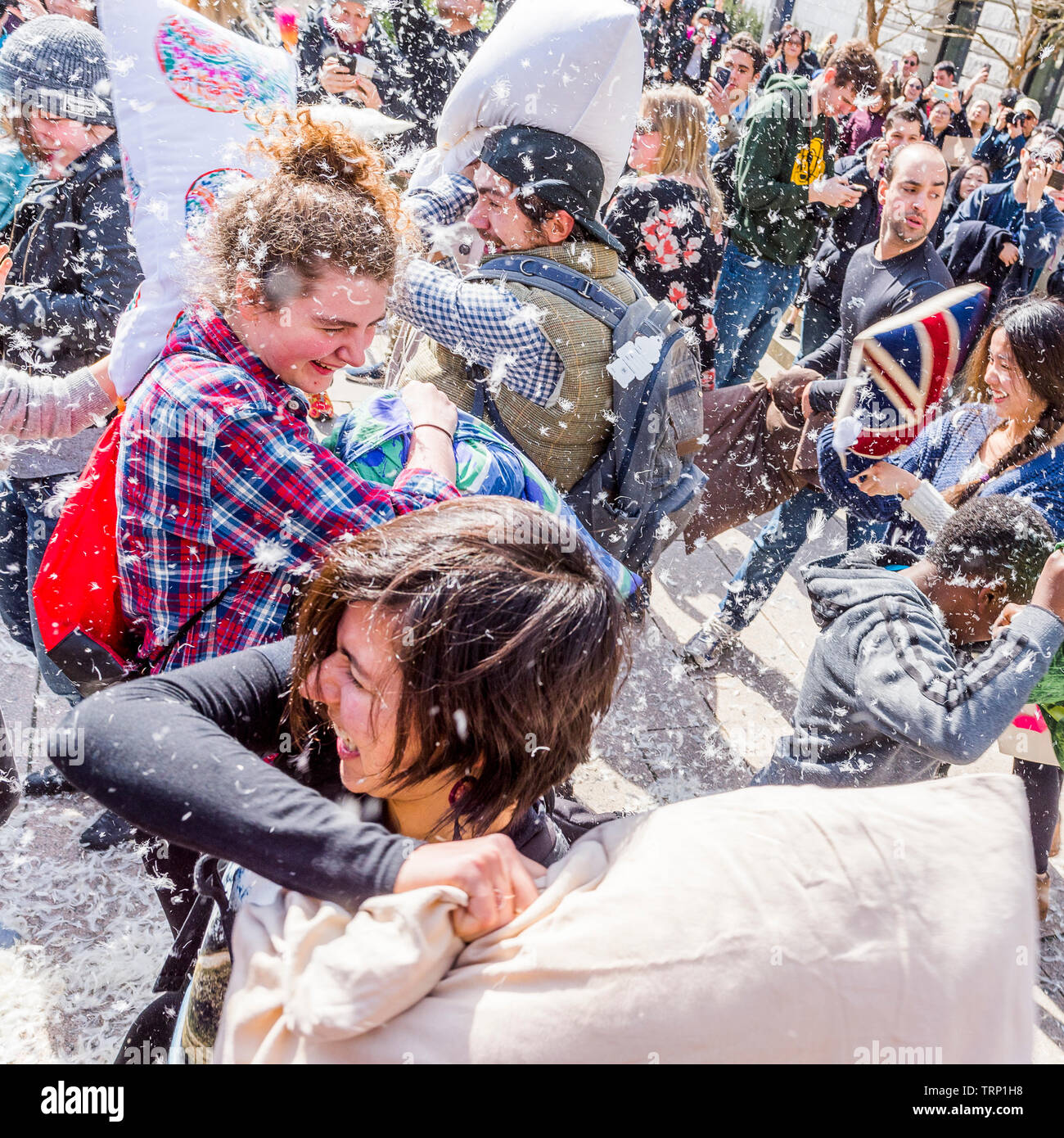 Pillow fight day International Banque D'Images