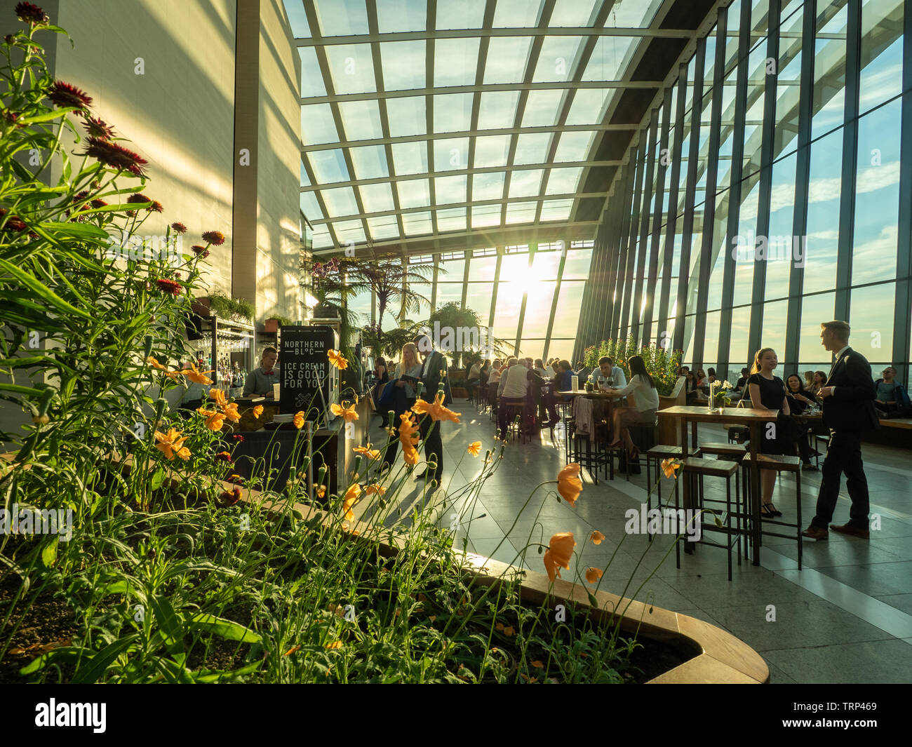 Intérieur Sky Garden, Gratte-Ciel Walkie Talkie, Londres, Angleterre. Banque D'Images
