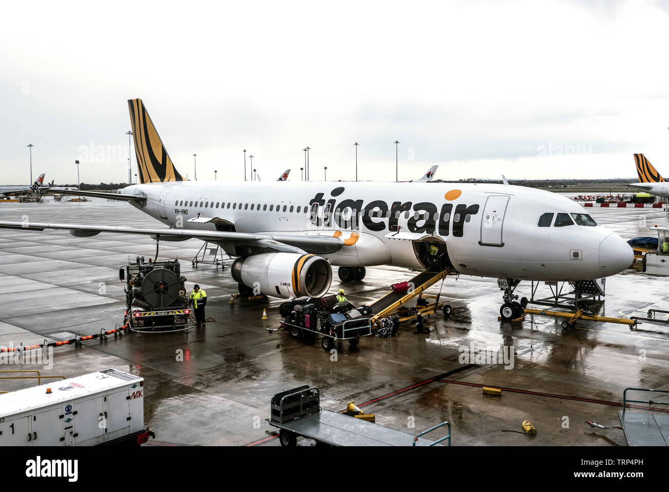 Tiger Airways jet Airbus Melbourne Australie Banque D'Images