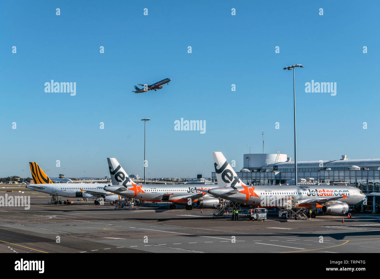Jetstar Airways avion Aéroport de Sydney Australie Banque D'Images