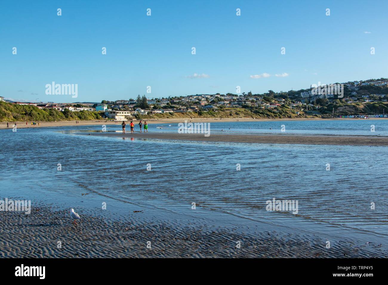 Coureurs et marcheurs de la plage Banque D'Images