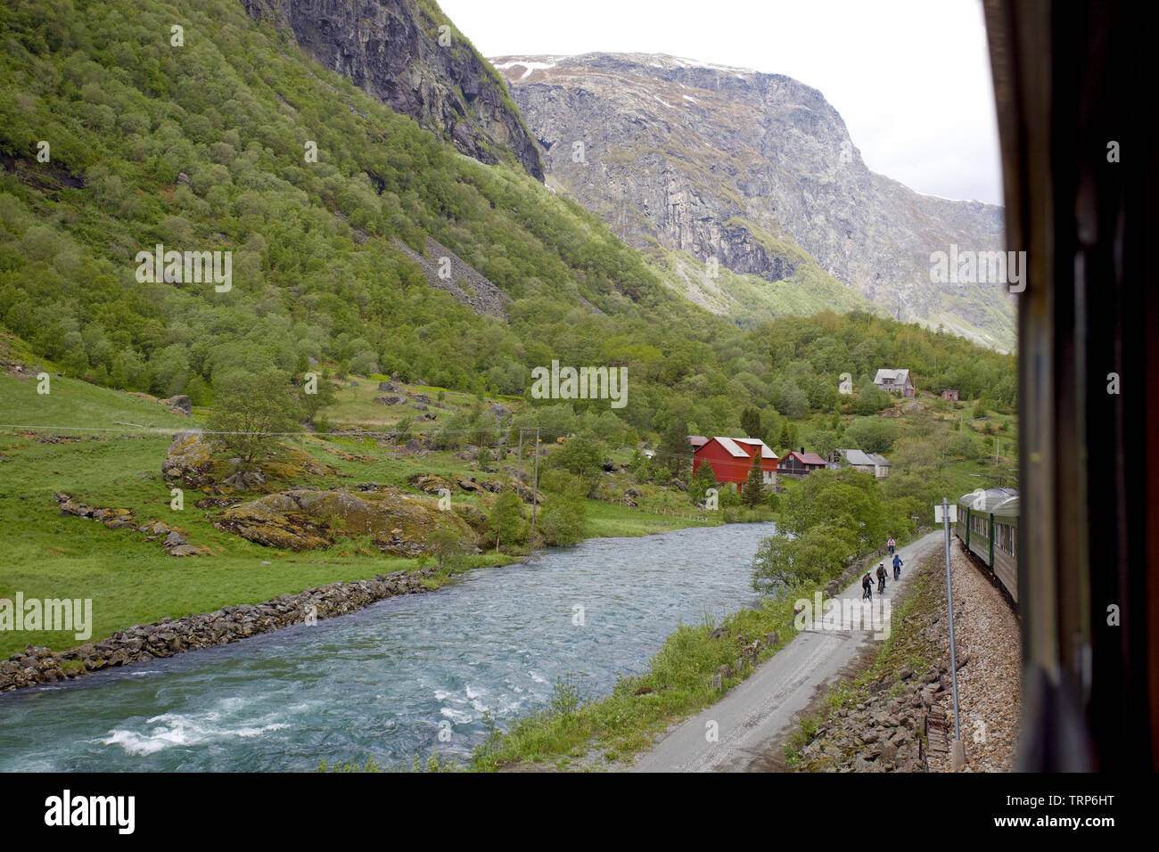 Train Flamsbana in Norway adopté flamsdalen village, Flam, Norvège Banque D'Images