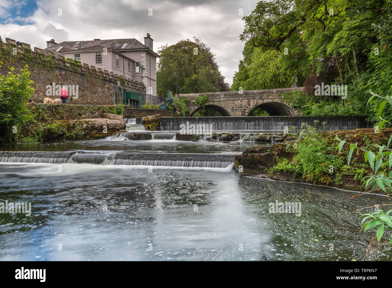 Pont de l'abbaye à Tavistock traverse la rivière Tavy en dehors de la frontière ouest de Dartmoor dans le Devon. Banque D'Images Pont de l'abbaye à Tavistock traverse la rivière Tavy en dehors de la frontière ouest de Dartmoor dans le Devon. Banque D'Images