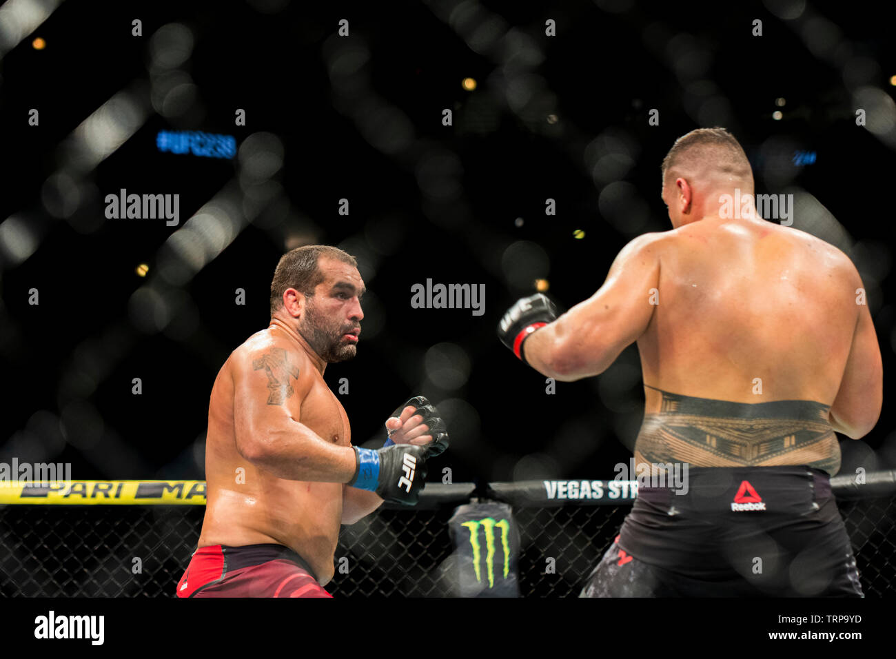 Chicago, Illinois, United States - 8 juin 2019 : Tai Tuivasa Blagoy Ivanov lors de combats contre l'UFC 238 au United Center. Banque D'Images