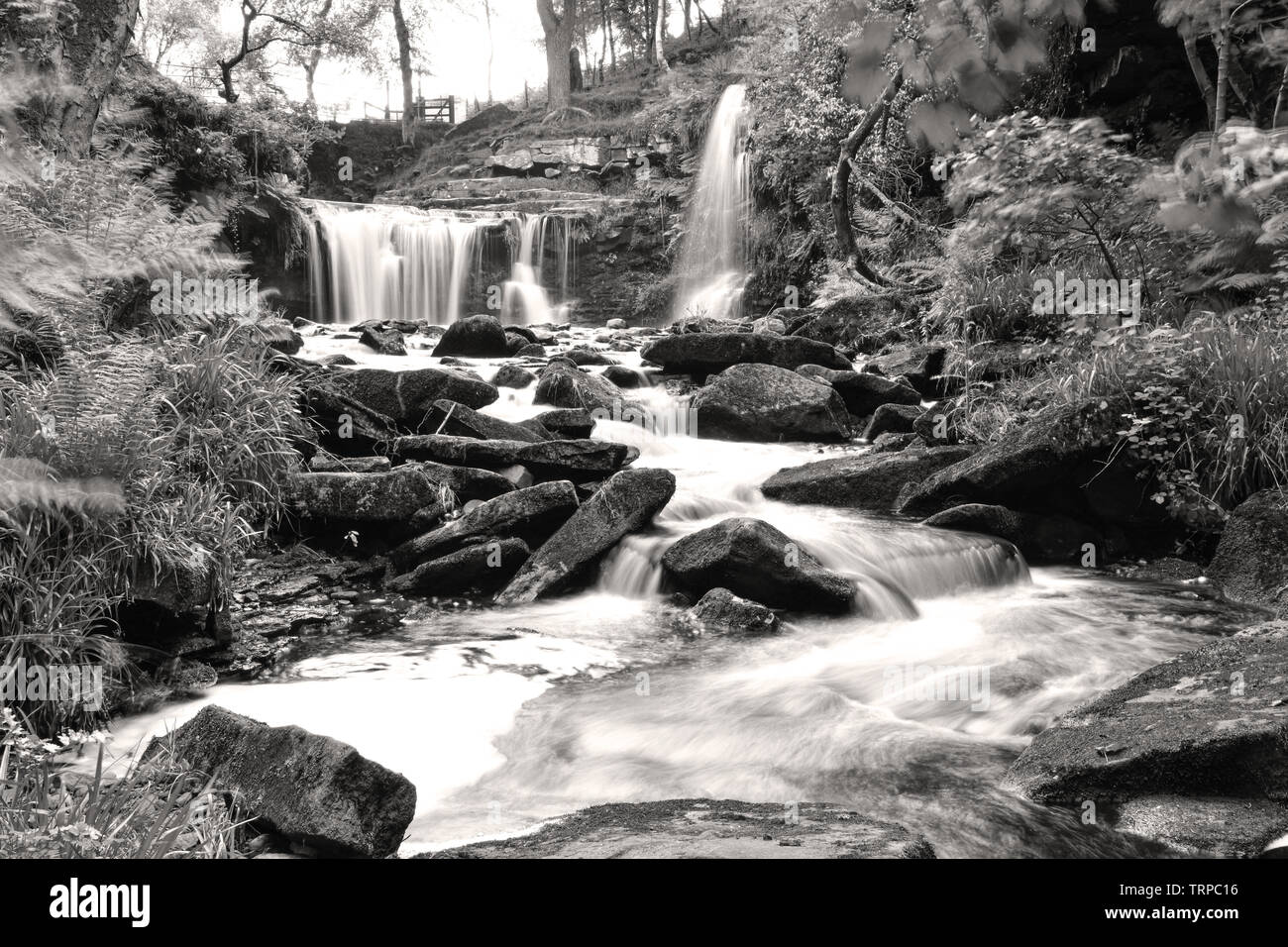 Lumb Falls, Crimsworth Doyen, Hebden Bridge, West Yorkshire, Calderdale Banque D'Images