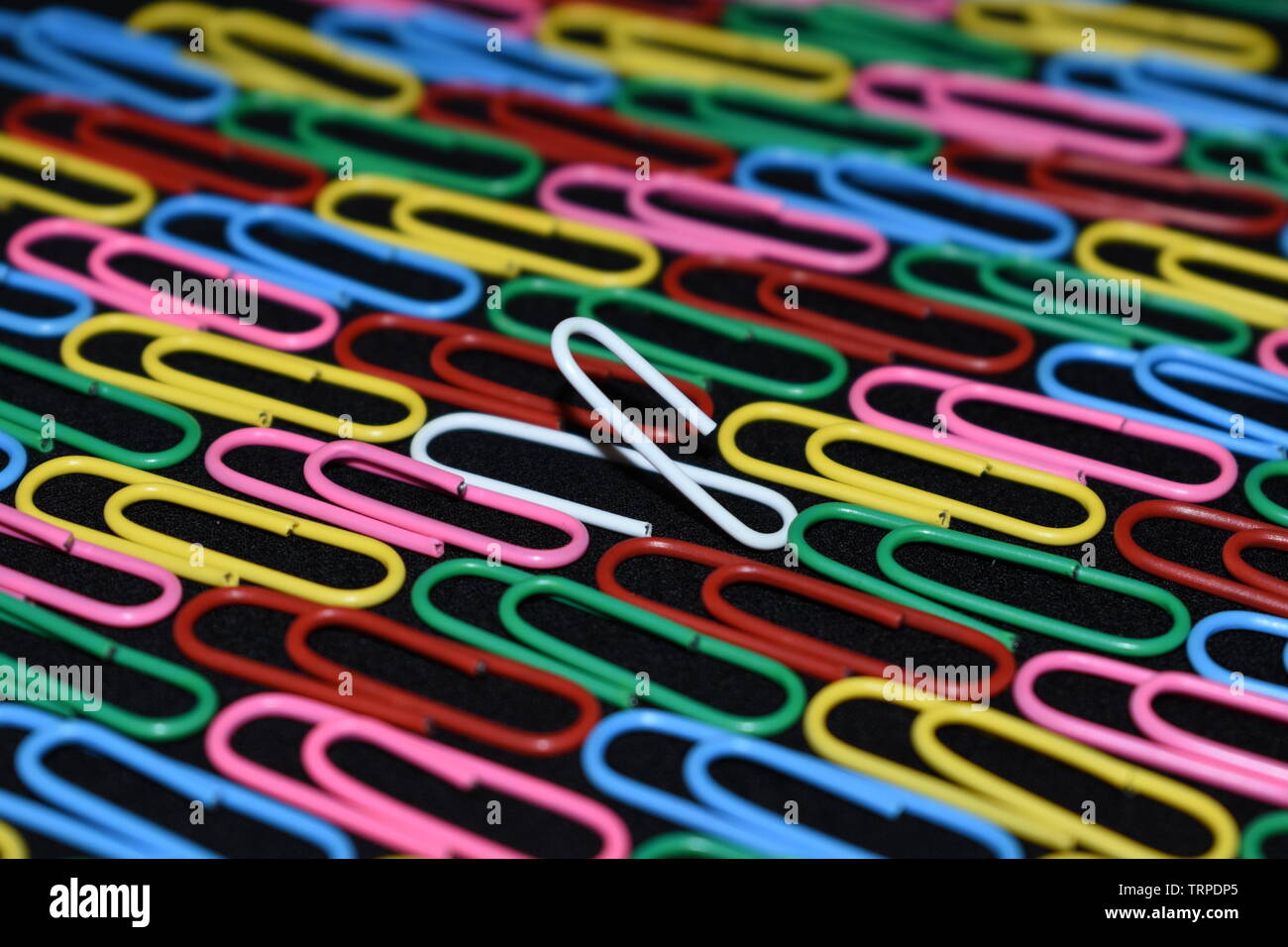 Trombones multicolores avec un trombone blanc entre eux. Banque D'Images