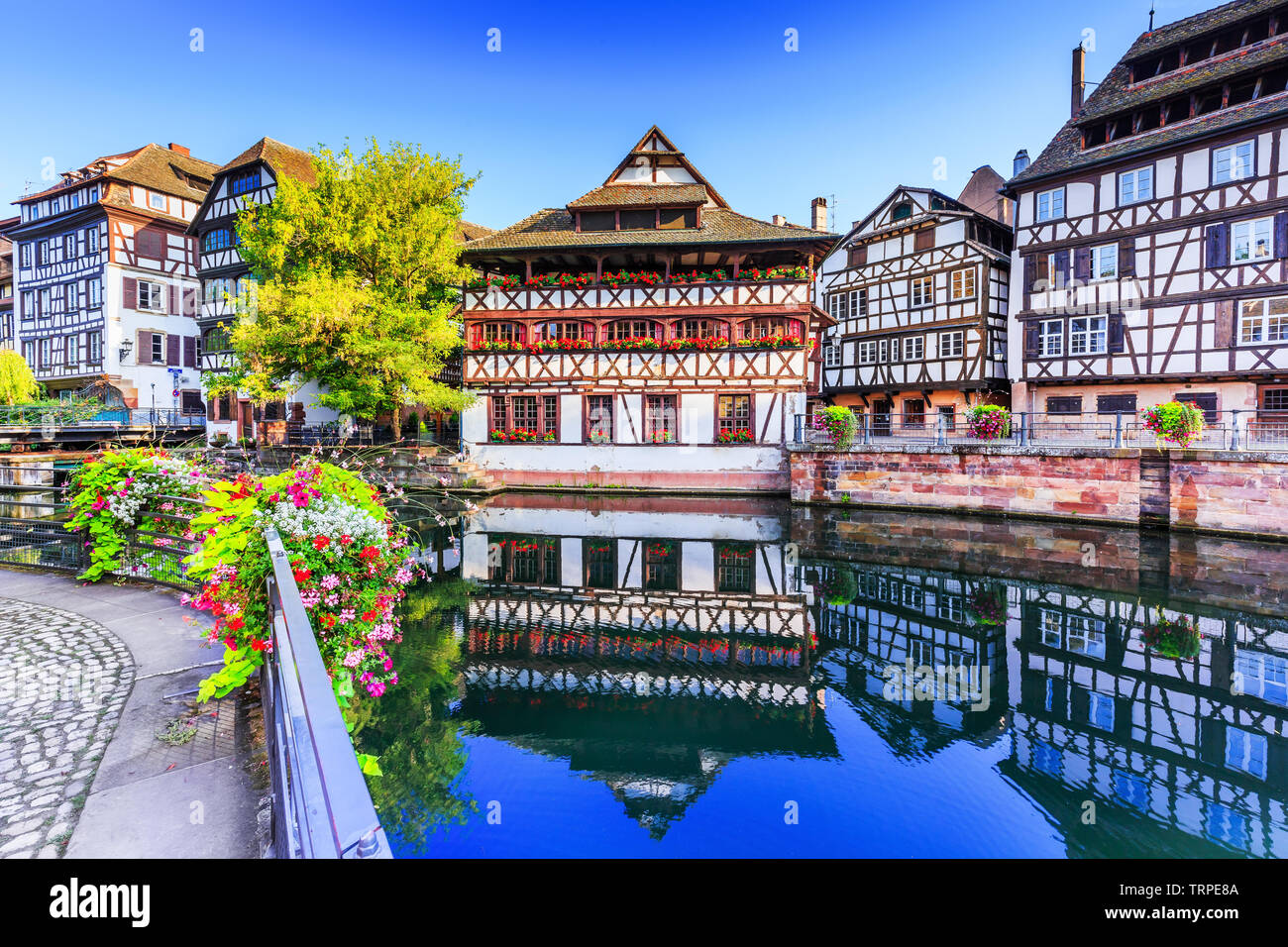 Strasbourg, Alsace, France. Les maisons à colombages de la Petite France. Banque D'Images