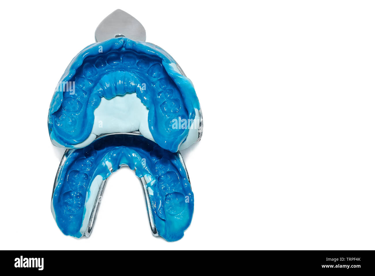 Deux des empreintes dentaires sur fond blanc avec l'exemplaire de l'espace. Moules de dentaire les mâchoires supérieure et inférieure du matériel de silicone. L'empreinte de l'toot Banque D'Images
