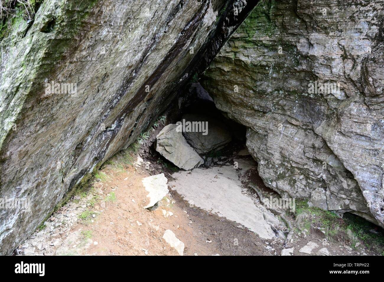 Entrée de la grotte de twm Sion 379 gallois de l'ITAO et figure dans le folklore gallois Rhandirmwyn Carmarthenshire Wales Cymru UK Banque D'Images