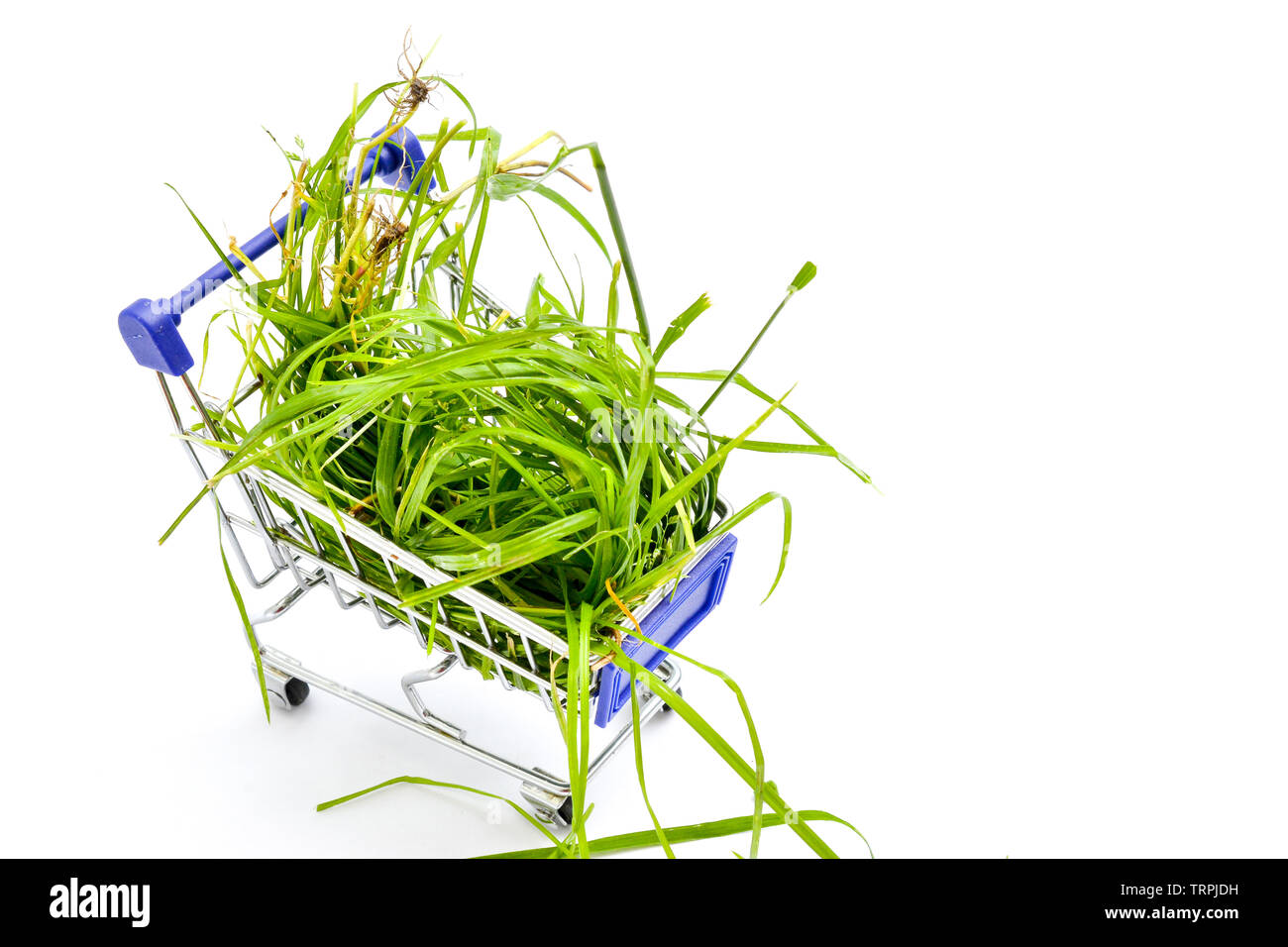 A l'herbe verte dans je petit panier était sur fond blanc de droit Banque D'Images