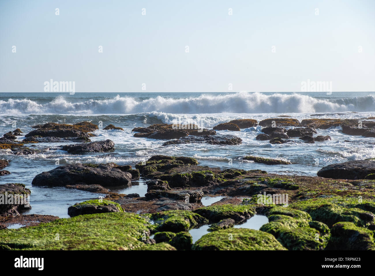 Vague se brisant sur le littoral à pierre d'algues Banque D'Images