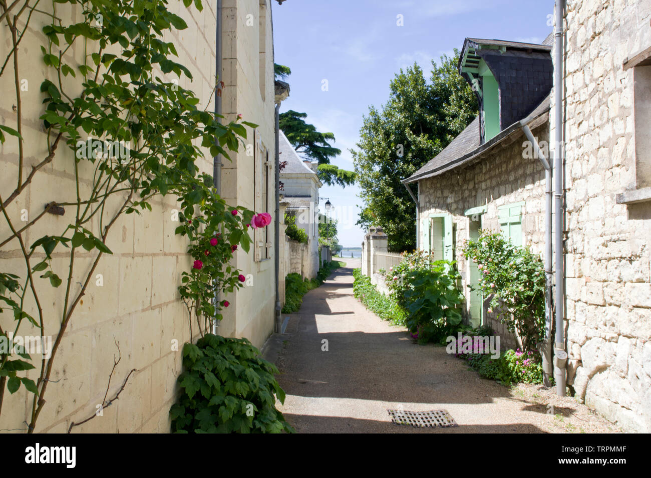 Candes St Martin Banque D'Images