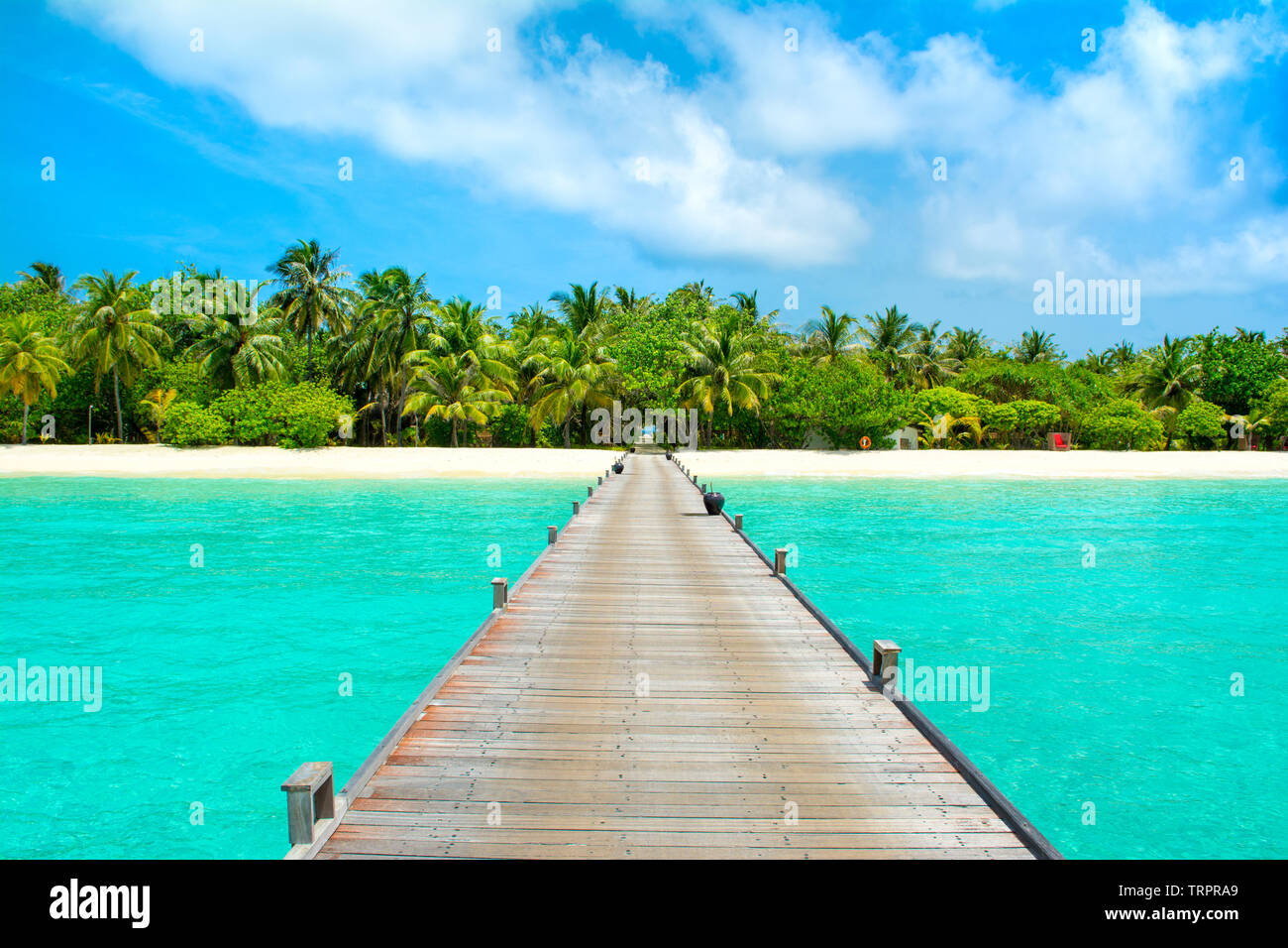 Beau paysage d'au-dessus de l'eau pont en bois à plage de sable fin avec palmiers et plantes tropicales, Maldives, océan Indien Banque D'Images