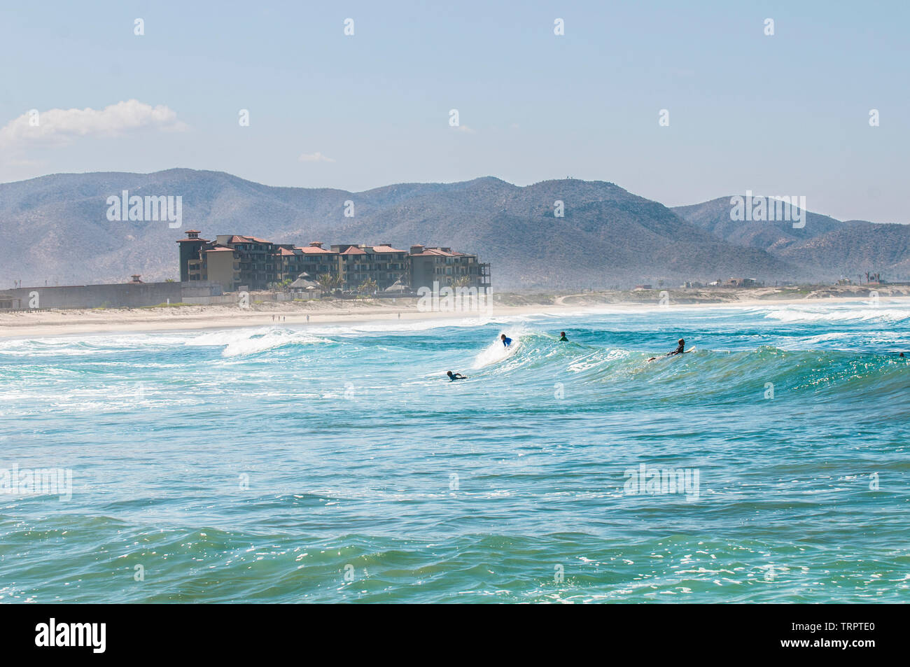 Personnes surfant à plage de Los Cerritos, Todos Santos, Baja California Sur. Le Mexique Banque D'Images