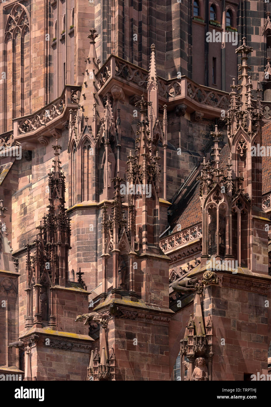 Freiburg im Breisgau, Münster Unserer Lieben Frau, Figuren und Wasserspeier Fialen, un Westturm und Königstraße 45 Banque D'Images