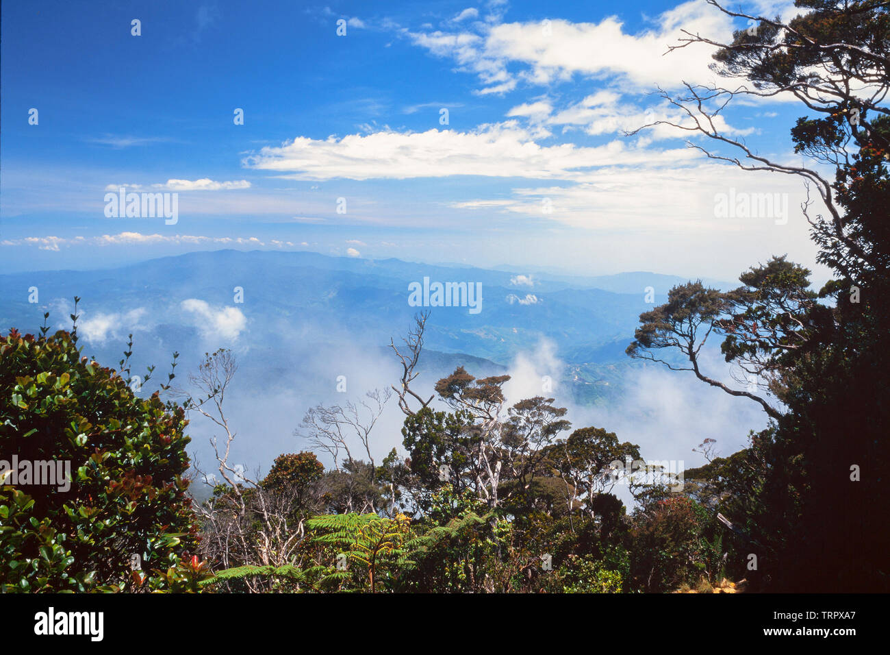 Parc National du Mont Kinabalu, Sabah, Malaisie Orientale. Sentier du sommet, vue à partir de la c. 3200 mètres Banque D'Images