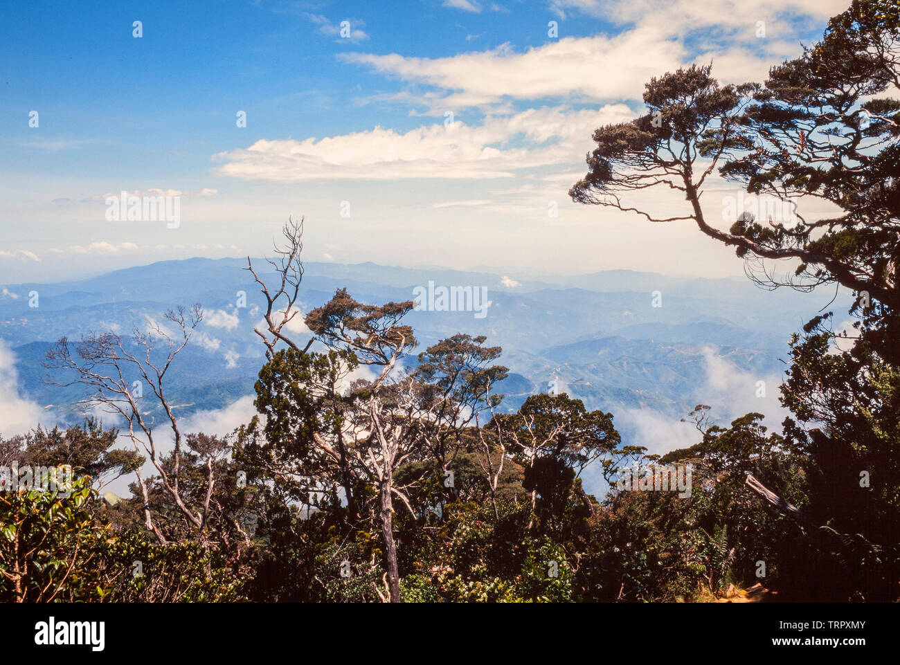 Parc National du Mont Kinabalu, Sabah, Malaisie Orientale. Sentier du sommet, vue à 3200 mètres Banque D'Images