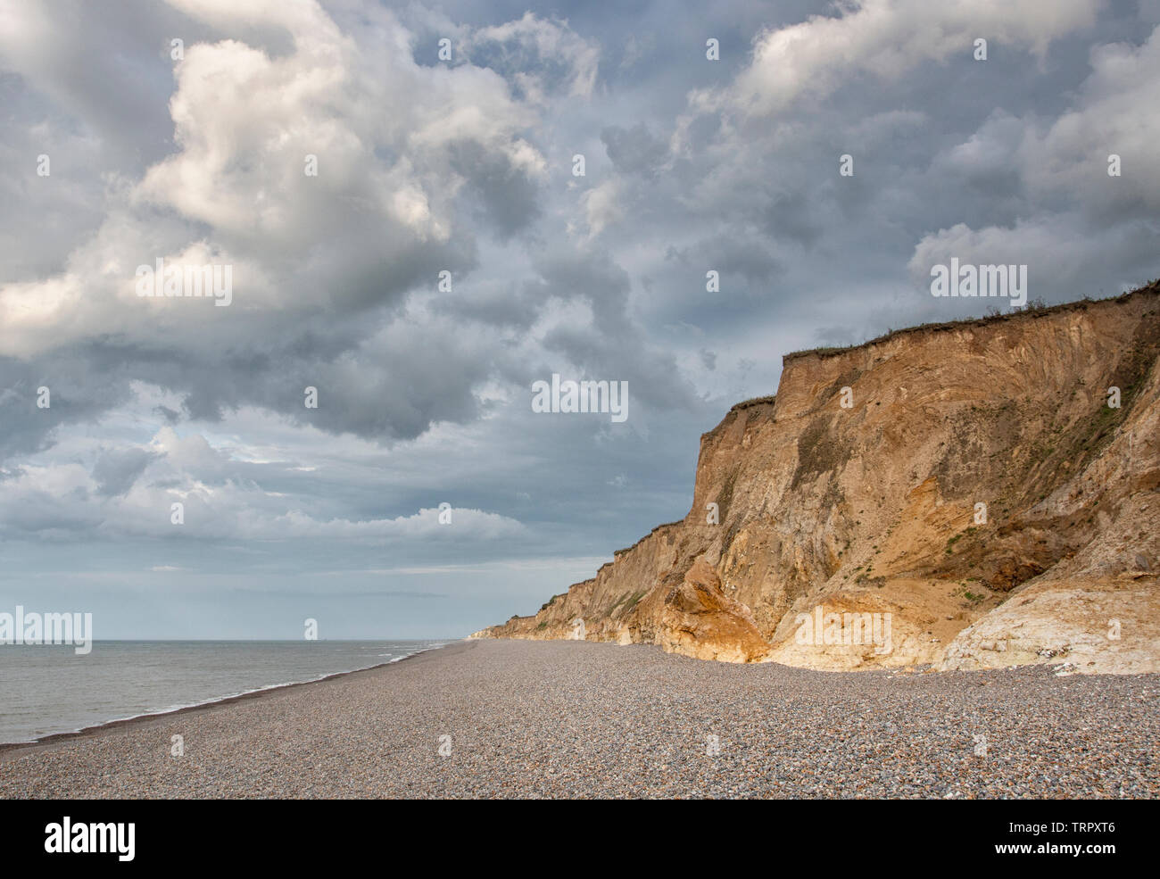 Weybourne falaises du golden hour, Norfolk Banque D'Images