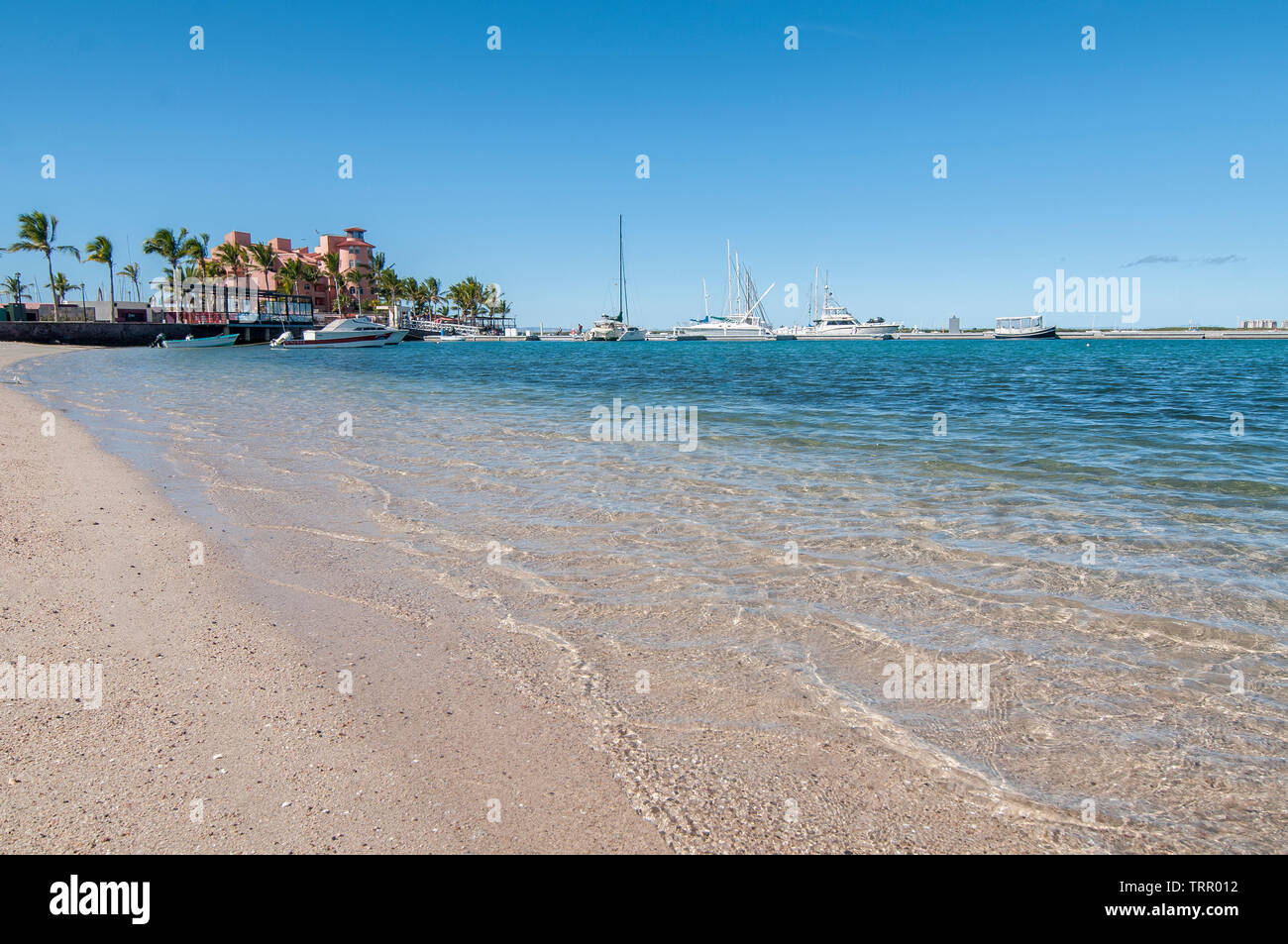 Marin de La Paz, Baja California Sur. Le Mexique Banque D'Images