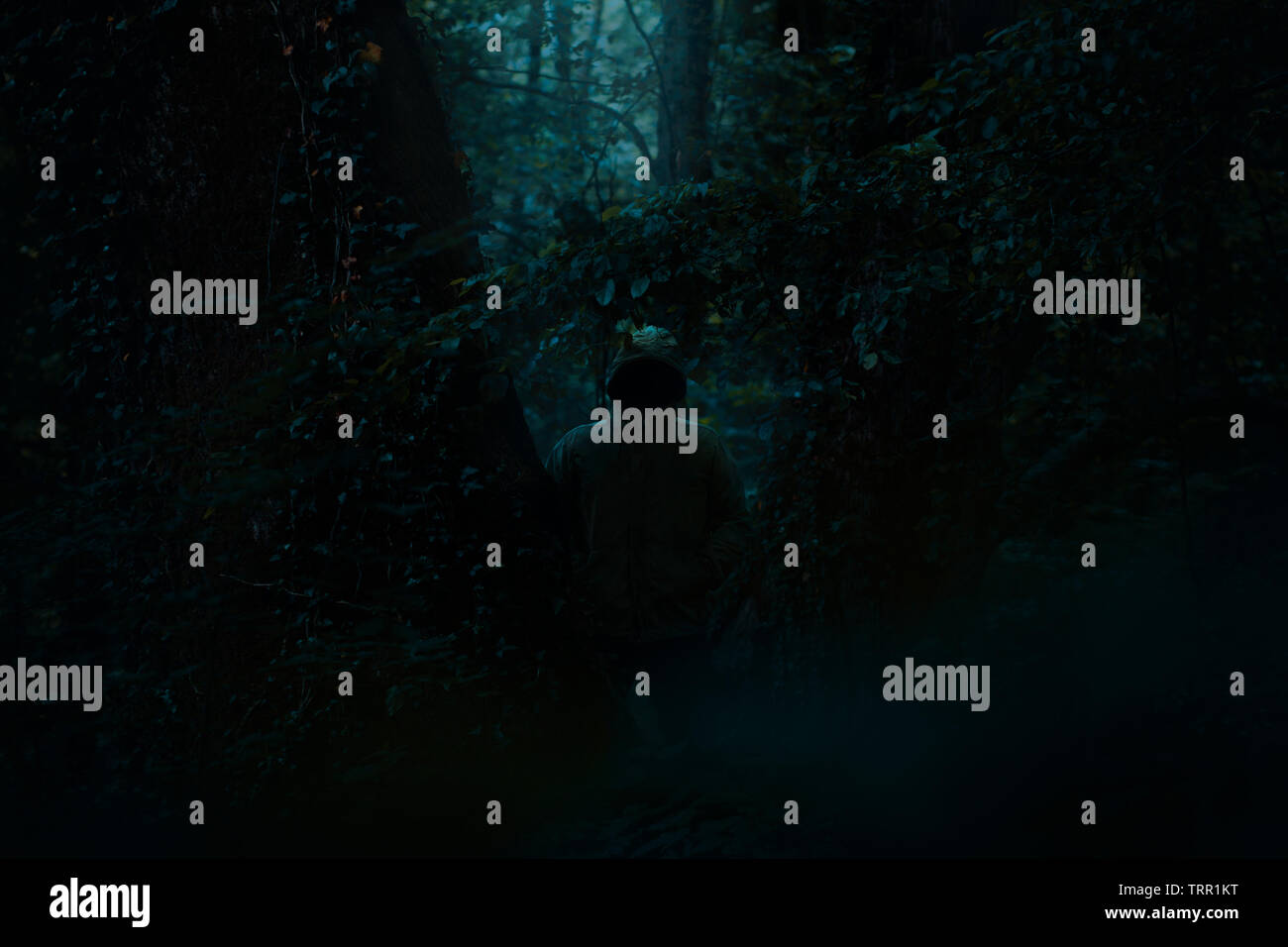 Effrayant dark figure masculine dans un hoodie debout sur le chemin dans la forêt avec lumière mystérieuse venant derrière lui, nuit scène d'horreur dans la forêt Banque D'Images