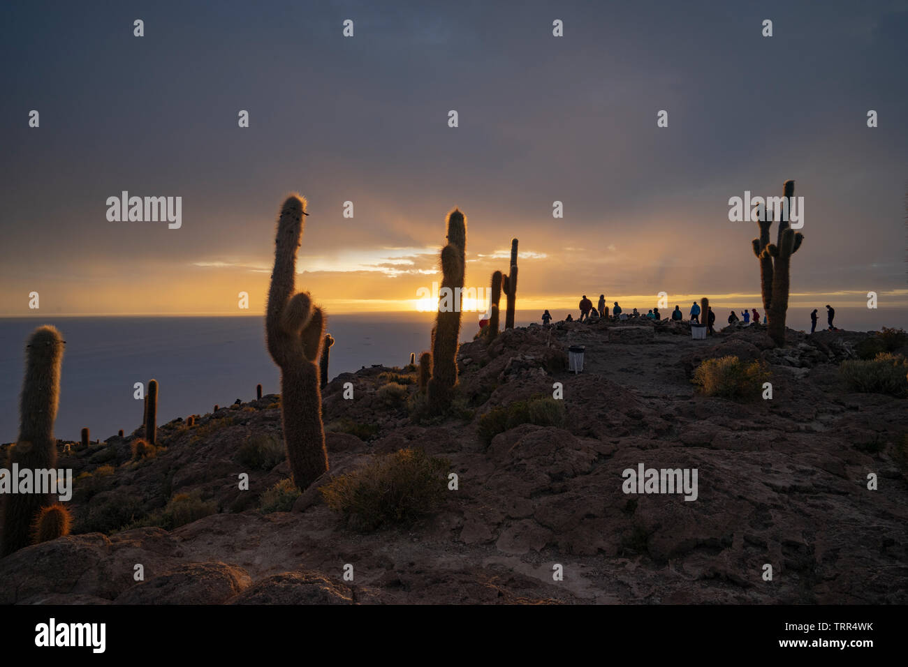 Lever du soleil à l'île incahuasi, Salar de Uyuni, Bolivie Banque D'Images