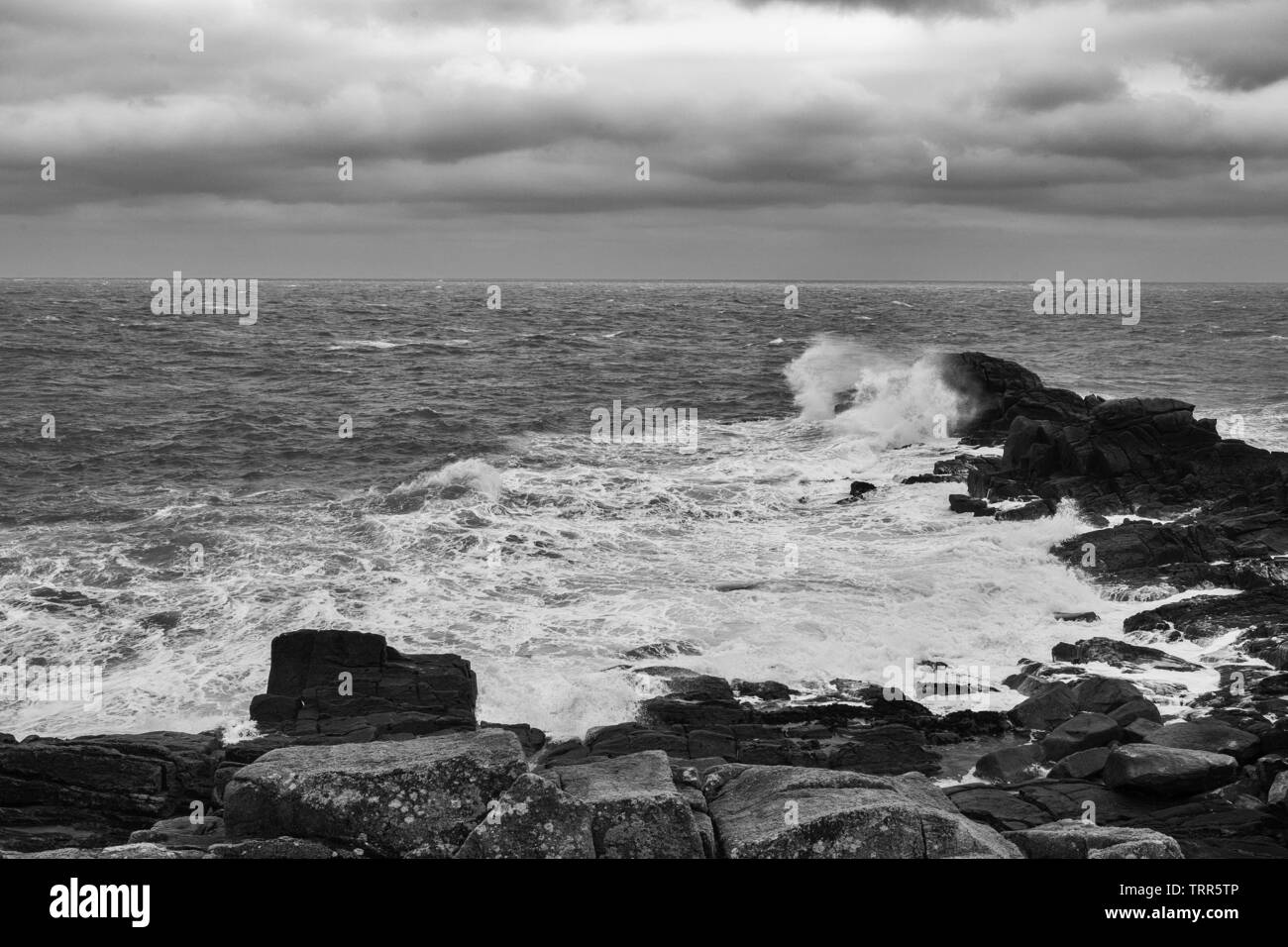 Point de Porth Hellick à marée basse et dans un fort vent onshore, St Mary's, Îles Scilly, UK : version noir et blanc Banque D'Images