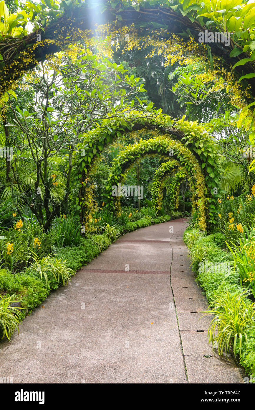 Promenade enchanteresse avec arch au National Orchid Garden, jardins botaniques de Singapour, Singapour, l'Asie Banque D'Images