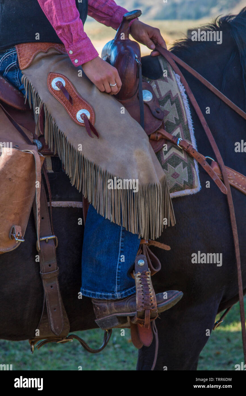Porté par Chaps cavalier, cowboy, sur l'Absaroka, dans le Wyoming. Ranch Protéger les jambes de chaps brosse et branches tout en circonscription. Banque D'Images