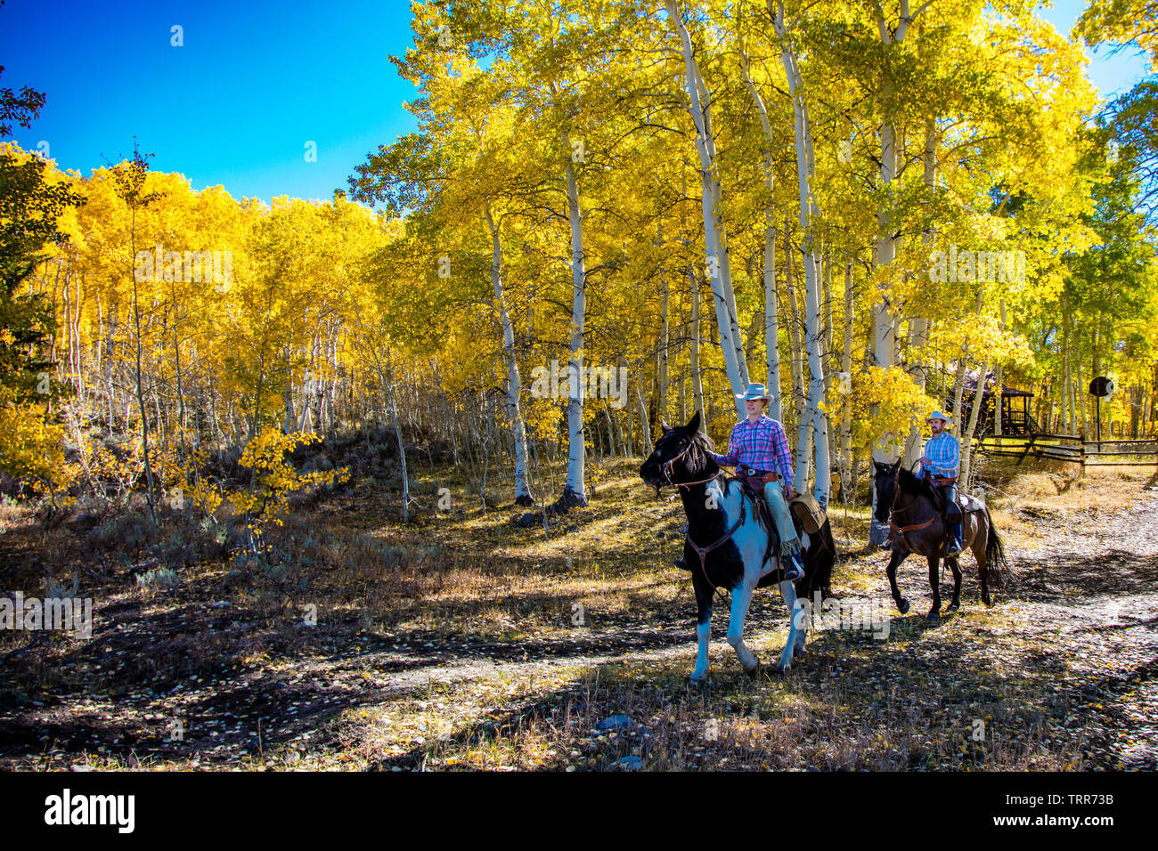 Les éleveurs l'équitation à l'automne, Ranch, Wyoming. Absaroka Banque D'Images