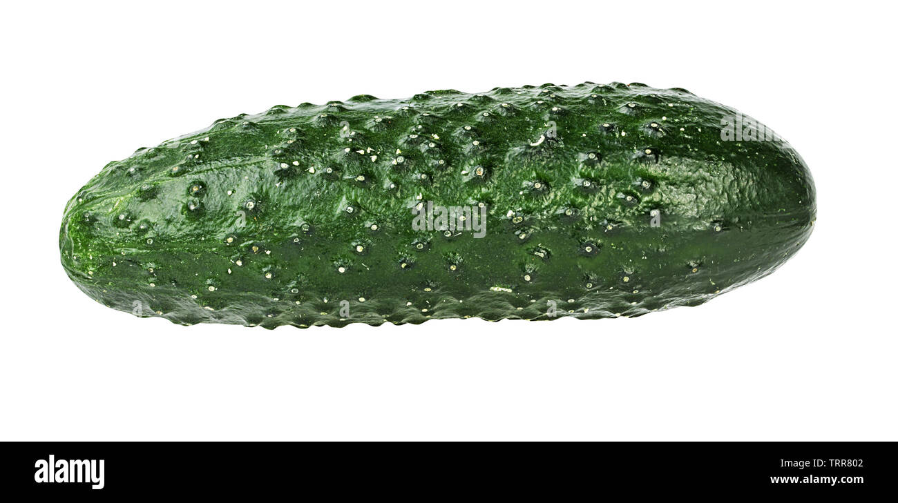 Le concombre isolé sur fond blanc Banque D'Images