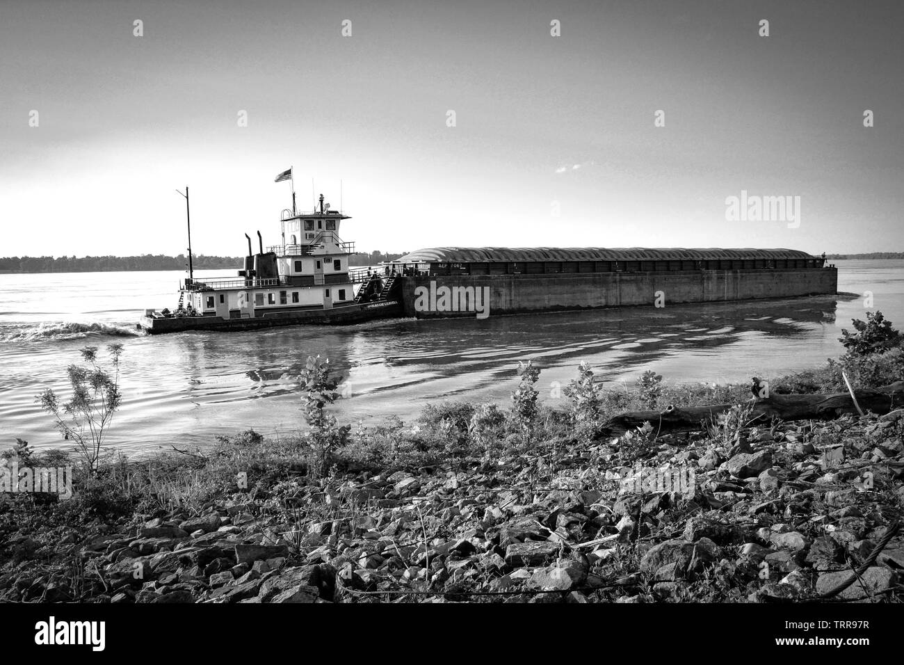 Vue depuis la rive d'un chaland chargé de la navigation le puissant fleuve du Mississippi avec l'aide d'un remorqueur au coucher du soleil près de Greenville, Mississippi Banque D'Images