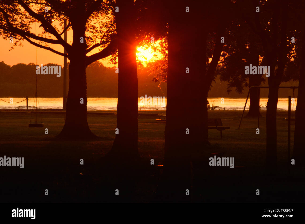 Un ombragé vue sur le fleuve Mississippi avec coucher du soleil d'or chaud créant des silhouettes des arbres et balançoire pneu dans le nord du Mississippi, États-Unis Banque D'Images