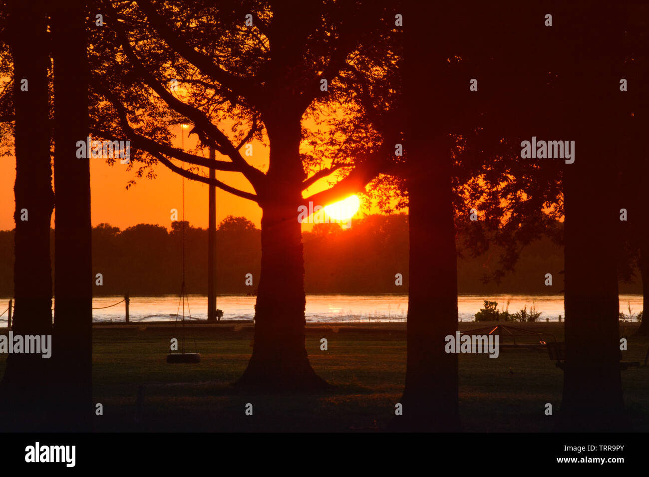Un ombragé vue sur le fleuve Mississippi avec coucher du soleil d'or chaud créant des silhouettes des arbres et balançoire pneu dans le nord du Mississippi, États-Unis Banque D'Images