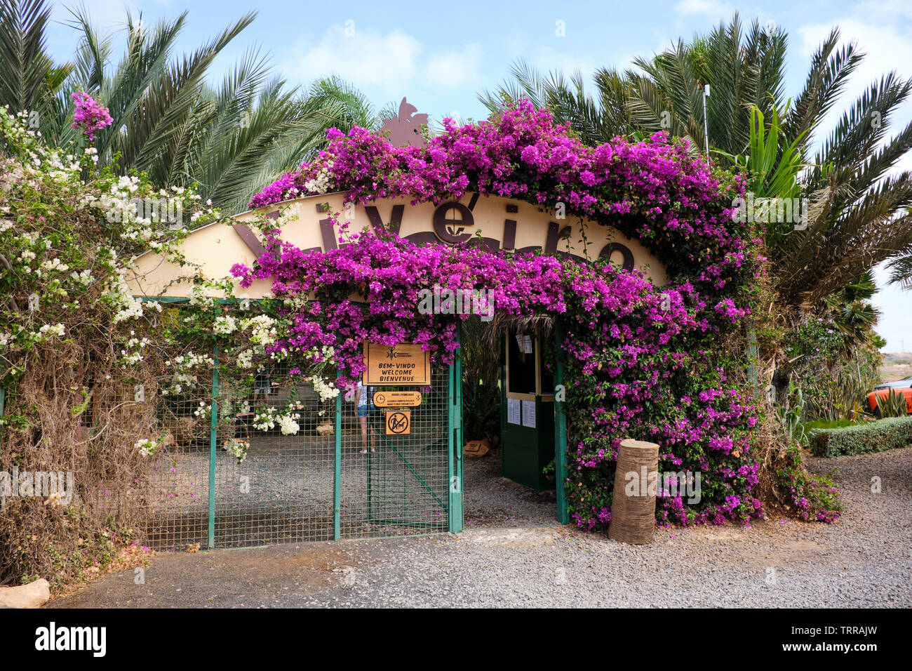 Entrée de la NEDA Jardins Botaniques, l'île de Sal, Cap-Vert, Afrique Banque D'Images