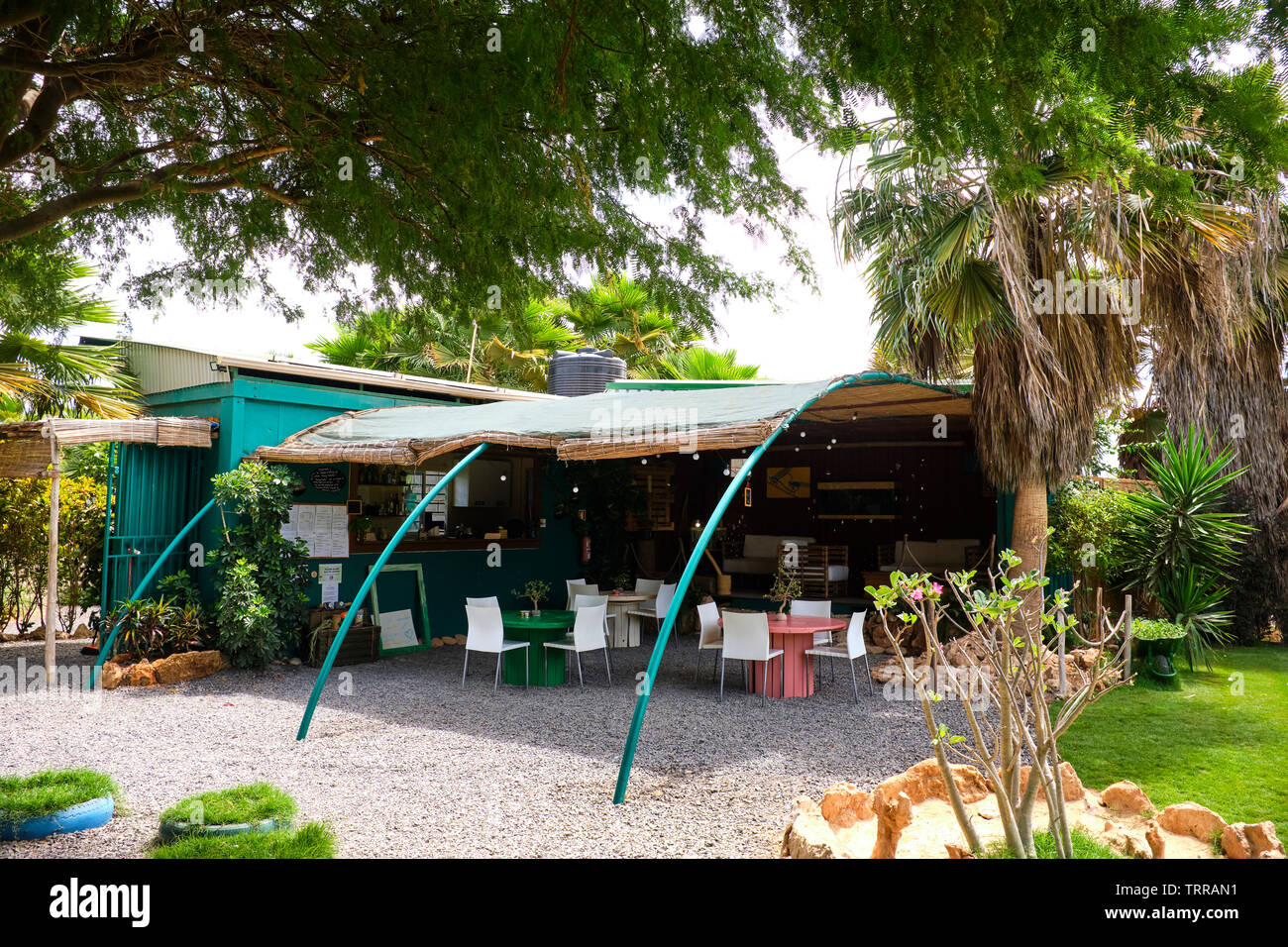 À l'intérieur de l'Viveiro Jardins Botaniques, l'île de Sal, Cap-Vert, Afrique Banque D'Images