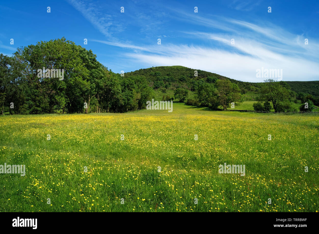 UK,Derbyshire, Peak District,bord de Bradwell et Meadow Banque D'Images