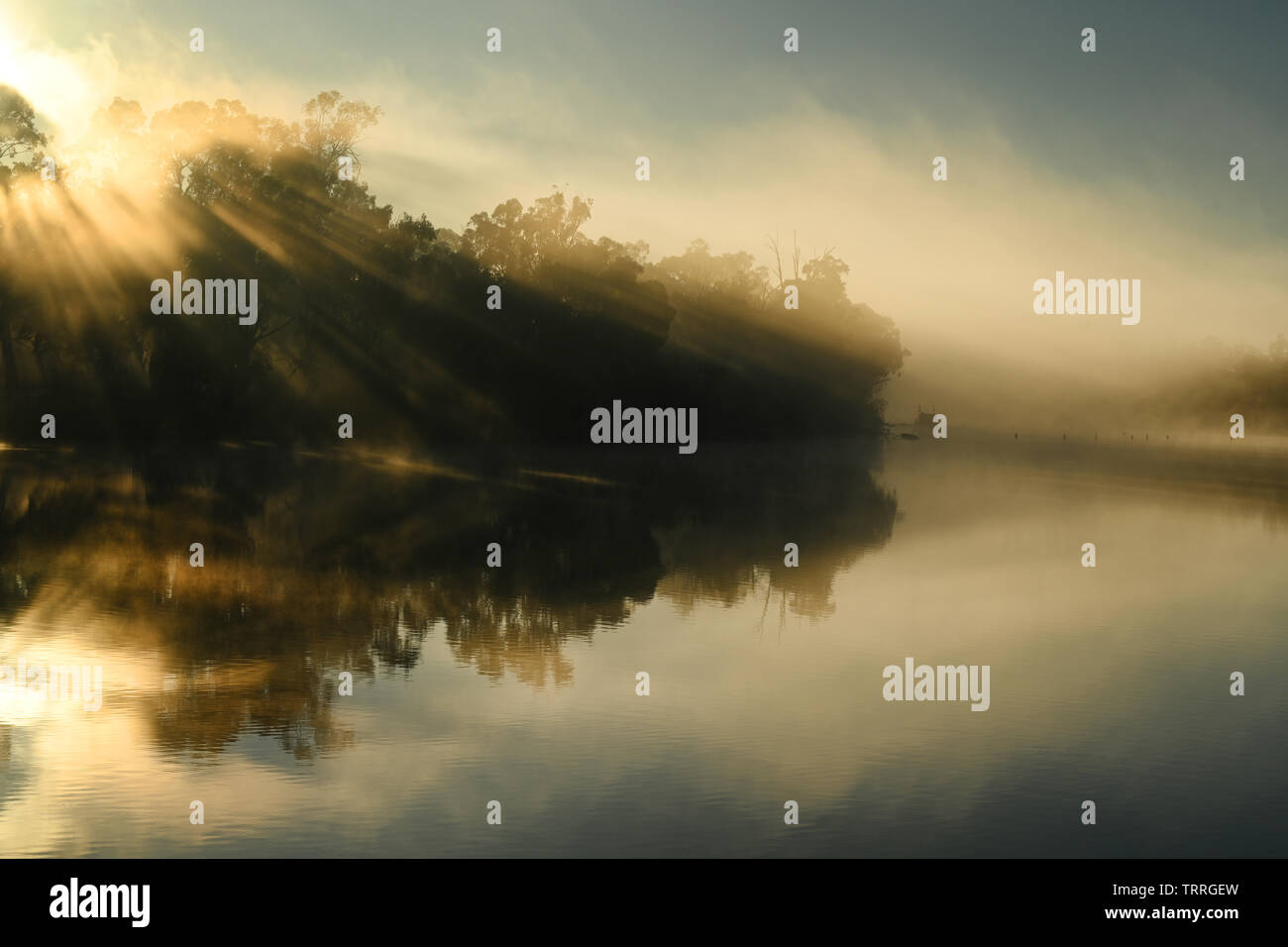 Le soleil du matin s'allume en early​ river-brouillard sur le fleuve Murray près de Mildura, Australie. Banque D'Images