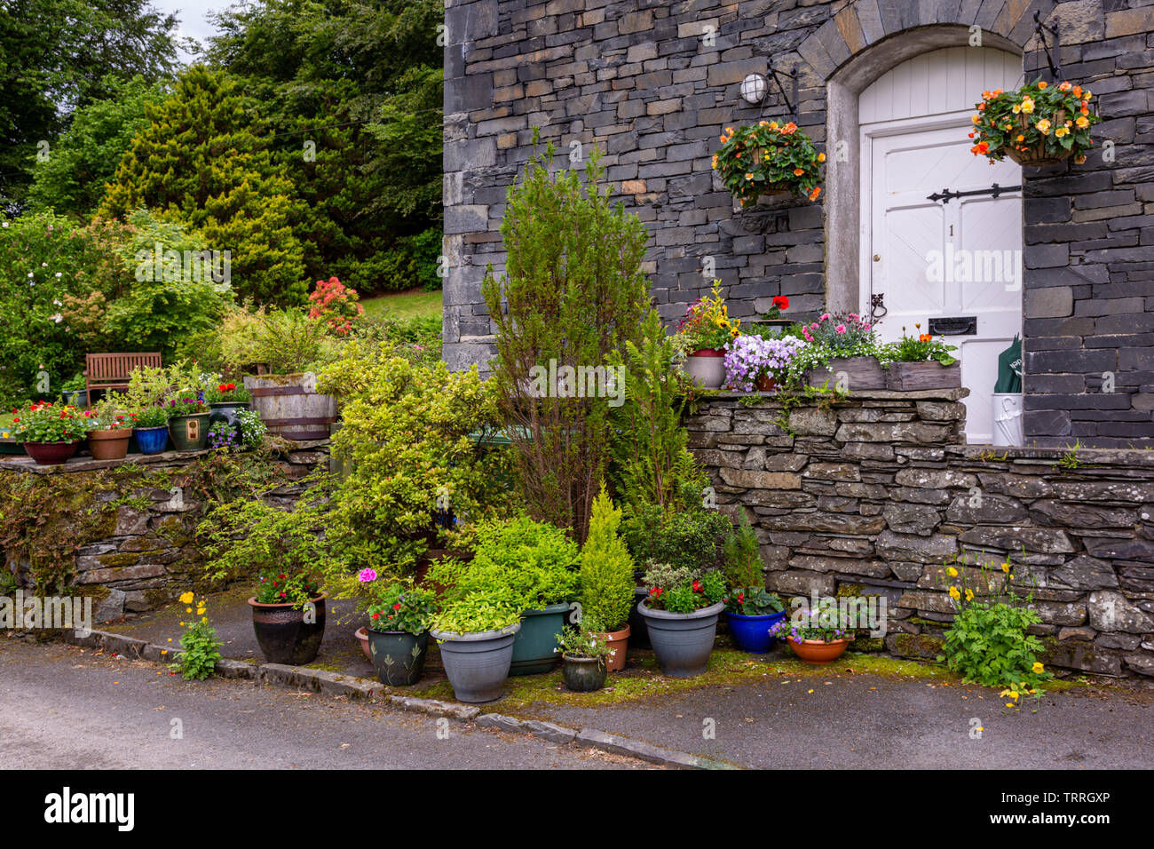 Plantes en pot en extérieur dans un jardin de chalet, UK Banque D'Images