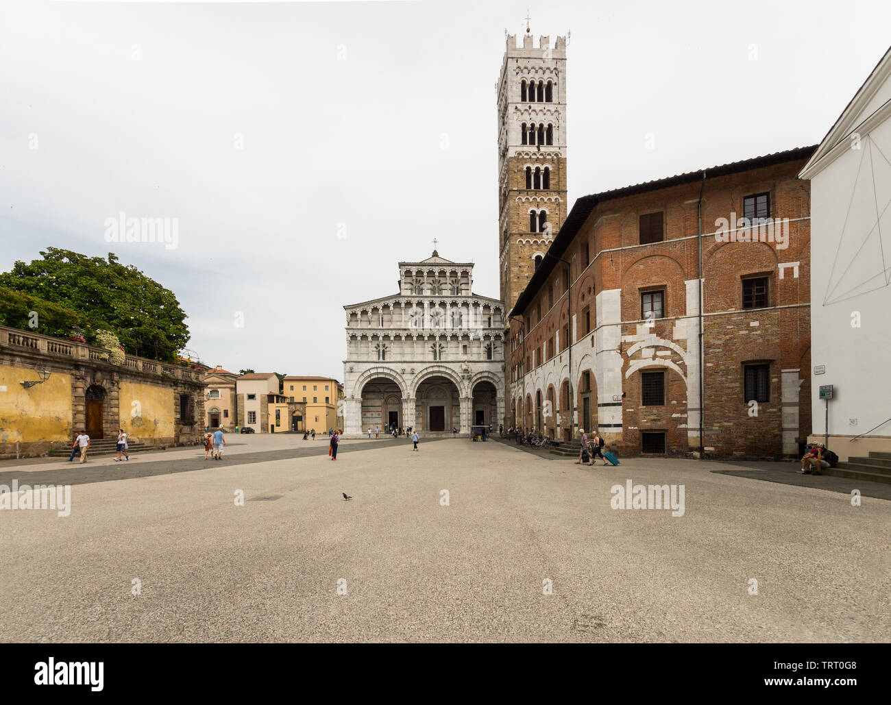 La cathédrale de Lucques, Roman gothique médiévale en façade et clocher, 13e-14e siècle, Piazza San Martino, Lucca, Toscane, Italie Banque D'Images