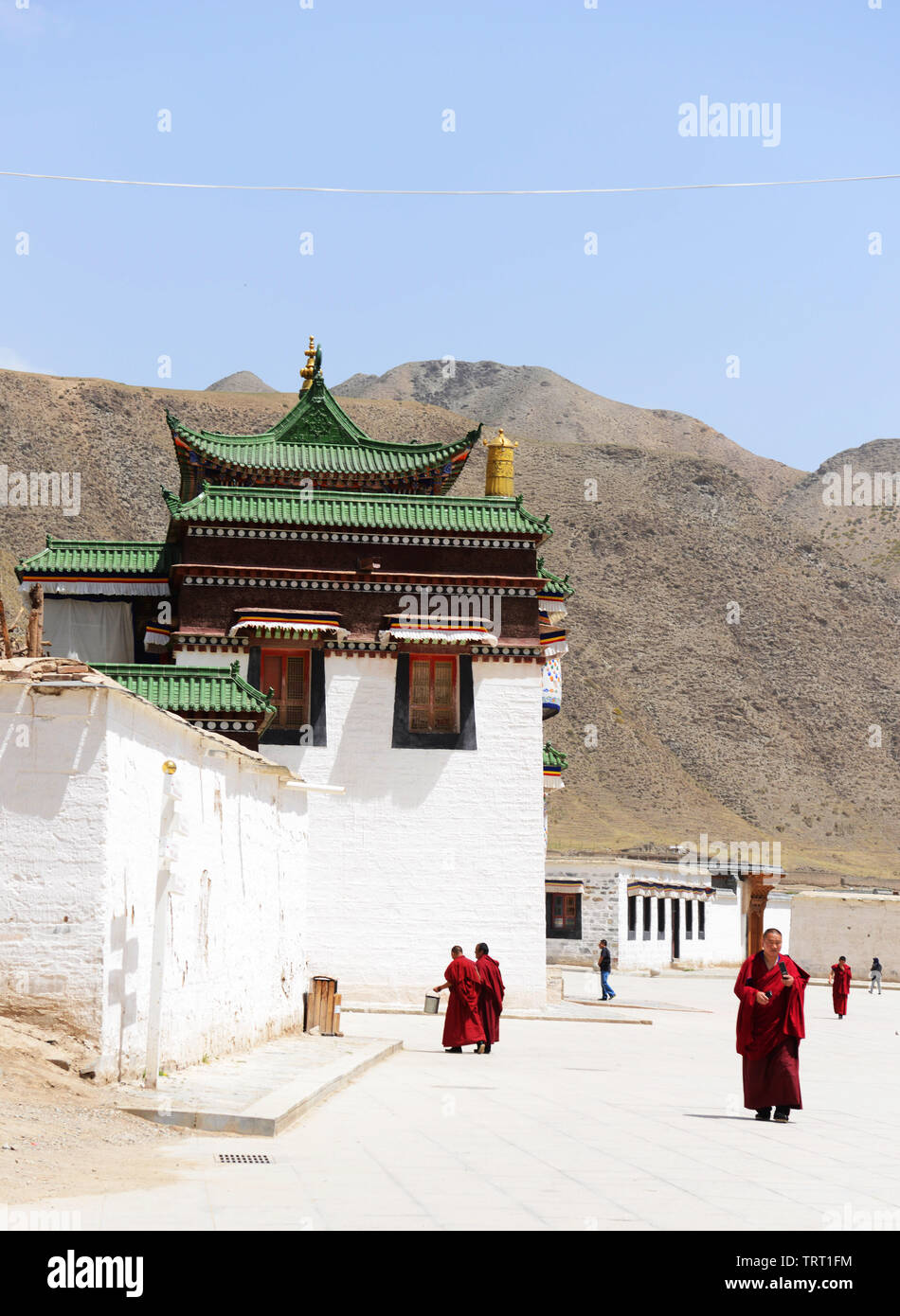 Quelques moines tibétains du monastère de Labrang dans le Gansu, en Chine. Banque D'Images