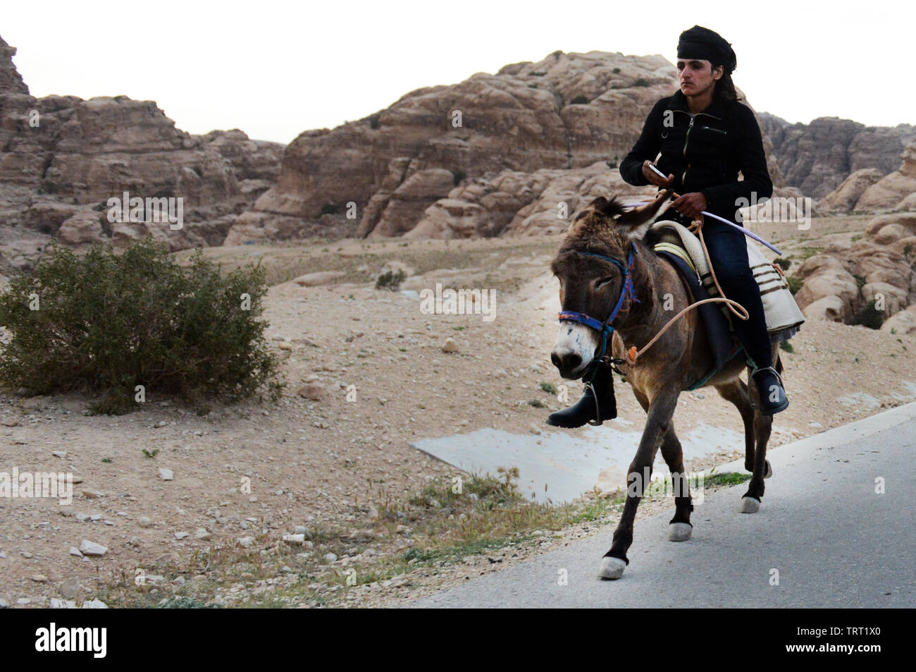 Un Bédouin man riding leurs ânes près de Little Petra en Jordanie. Banque D'Images