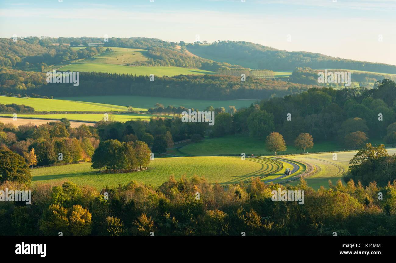 La lumière de fin de soirée dans le Kent Downs AONB dans la campagne anglaise. Banque D'Images