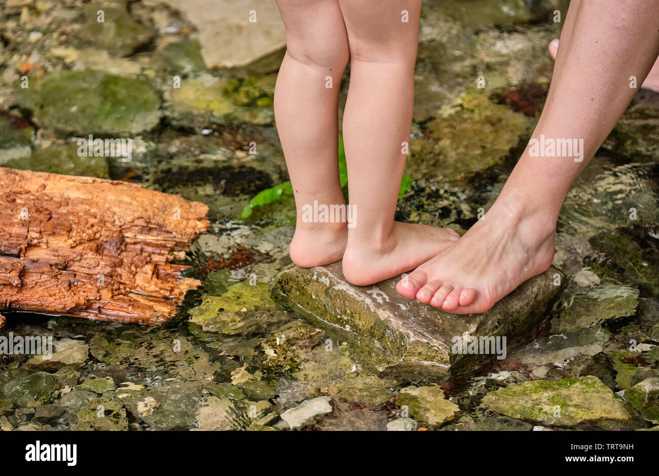 Jeune enfant Girl standing pied nu dans l'eau froide d'un ruisseau dans un  lit pierreux à l'Lillachquelle Lillach (source) près de Weißenohe,  Allemagne Photo Stock - Alamy