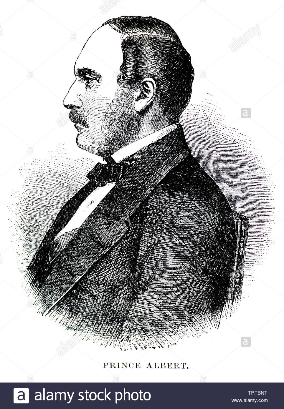 Prince Albert, 1819 - 1861, était le mari de la reine Victoria Banque D'Images